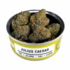 Julius caesar marijuana strain, Julius caesar cannabis strain, Julius caesar kush strain, Julius caesar weed strain, Julius caesar buds strain