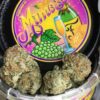 Buy Mimosa Cans Online,Mail order mimosa strain,Buy mimosa cannabis strain,Order mimosa cannabis strain,Buy mimosa strain weed
